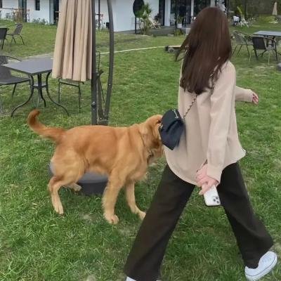 绝望的牛仔